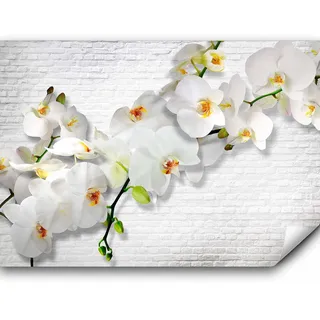 Fototapete murando 350x256 cm Vlies Tapeten Wandtapete XXL Moderne Wanddeko Design Wand Dekoration Wohnzimmer Schlafzimmer Büro Flur Mauer Ziegel Blumen Orchidee b-A-0089-a-b