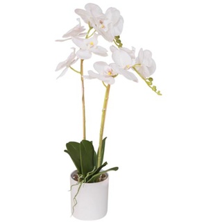 VEA SRL Pflanze Gr. Orchidee Real Touch 59 cm 5806