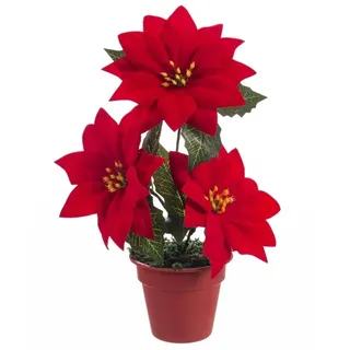 Fantastiko Blumentopf Blume Ostern Ponsetien 22 cm