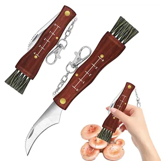 WJXKAZYX Klappbares Pilzmesser mit Bürste – 21 cm Gesamtlänge, 13,5 cm Holzgriff, 7,5 cm Edelstahlklinge, rotbraunes Design – Ideales Schwammerlmesser für Pilzsammler, Outdoor & Geschenk