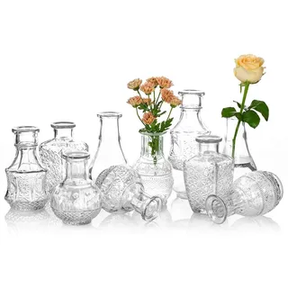 Glasvase Für Blumen 5er-Set Klare Vintage Bud Vase Süße Mini-Erbsenvase Für Tischdekoration Innendekor Hochzeit (klar, 10)