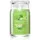 Vanilla Lime Signature Large Tumbler Duftkerze 567 g beige