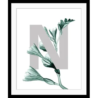 queence Bild "N-Flower" Buchstaben  Pflanzen  Pflanzenbilder Blätter, Blume, gerahmt, farbe rahmen: schwarz, farbe bild(er): dunkelgrün, grau