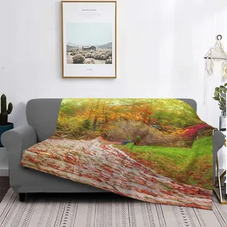 Minalo Throw Blanket Lightweight Ultra-Soft Fleece Warm Autumn Prague, Mikrofaser All Season Living Room/Bedroom/Sofa Couch Bedroom Flannel Quilt, 50 Zoll x 40 cm