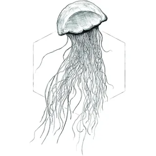 KOMAR Wandbild Jellyfish White 40 x 50 cm