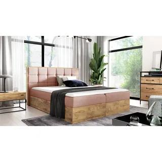 Boxspringbett Schlafzimmerbett KALYPSO 160x200cm Stoff Rose inkl. Bettkasten - Rosa
