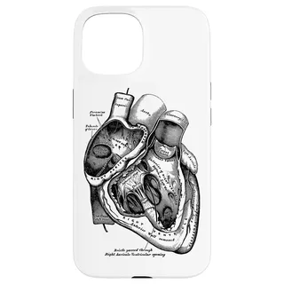 Anatomische menschliche Herz-medizinische Anatomie-Weinlese Hülle für iPhone 15