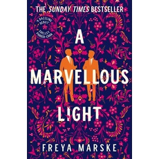 A Marvellous Light: a dazzling, queer romantic fantasy (The Last Binding, 1)