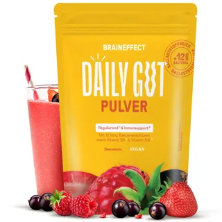 BRAINEFFECT DAILY GUT – Leckeres Probiotika Getränkepulver mit Ballaststoffen und Vitamine B6 + B12, Milchsäurebakterien zur Unterstützung des Darms, Berrenmixgeschmack – 240 Gramm