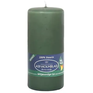 Asp-Holmblad Umweltfreundliche Stumpenkerze Moosgrün