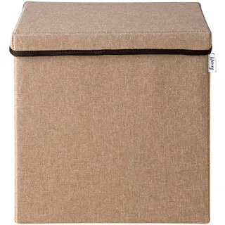 Lifeney Faltbox mit Deckel 1-tlg. Braun