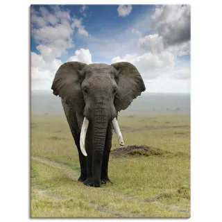 Artland Wandbild »Elefant« Wildtiere 1 Stk. tlg. als Alubild, Outdoorbild, Leinwandbild, Poster in verschied. Größen, grün