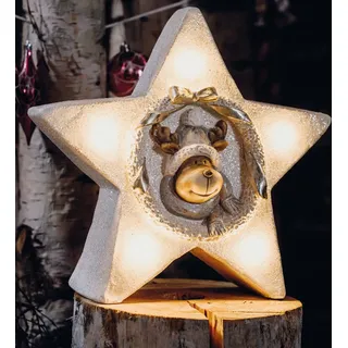 LED Figur Stern Keramik Rentier Motiv Deko beleuchtet Weihnachten Winter 5 LED - Weiß