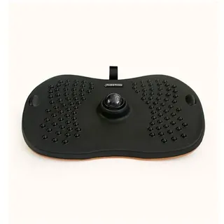 Swedish Posture Balance Board Standy