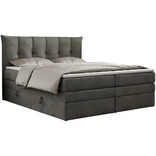 MKS Meble Boxspringbett 7-Zonen Taschenfederkernmatratze und Topper - PREMIUM-10-KING - 160x200cm - Dunkelgrau - H4 - Dunkelgrau