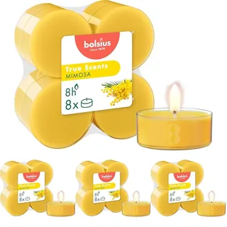 Bolsius True Scents – 8 Teelichter Maxi Duft – Mimosa – Lange Brenndauer von 8 Stunden – Kerze für den Innenbereich – Natürliche Extrakte – Veganes Wachs – Ohne Palmöl (Packung mit 4)