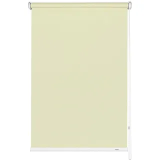 GARDINIA Seitenzug-Rollo Uni Trend 52 x 180 cm Champagner