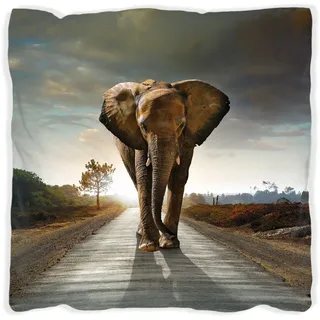 Wallario Premium Kissen, weiche Oberfläche, mit Motiv Elefant bei Sonnenaufgang in Afrika, Größe: 60 x 60 cm, mit weißer Rückseite - Braun