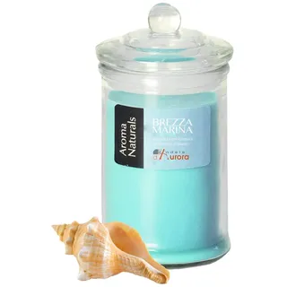 Candele D'Aurora Aurora Dafne Duftkerze 14,8 cm silber