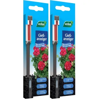Westland Gießanzeiger klein, 16 cm, anthrazit – Pflanzen Gießmelder, Wasserbedarf-Anzeige für Pflanzen in Blumenerde (Packung mit 2)