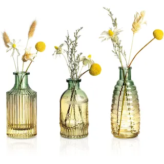Joeyan 3er Set Vintage Kleine Glasvasen für tischdeko - Farbverlauf Desktop Blumenvase - Geprägte Knospenvase,Vase für Einzelne Rose für Hochzeiten, Party, Events Dekorieren Arrangements