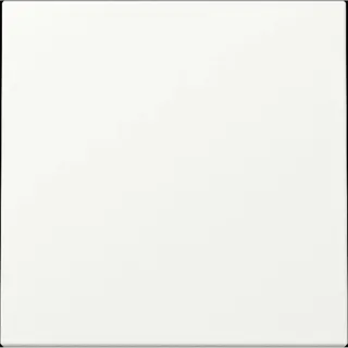 Gira Gira, 329627 Wippe System 55 Reinweiß m