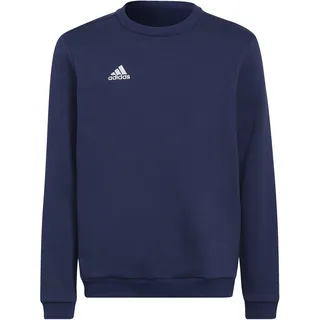 adidas Entrada 22 Sweatshirt Kinder, Blau, (140)