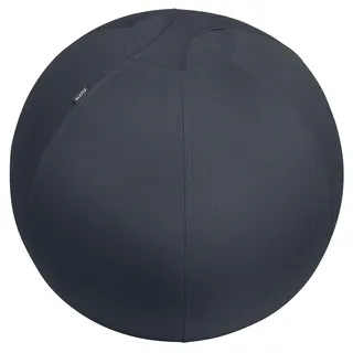 Leitz Ergo Active Sitzball Dunkelgrau 65 cm