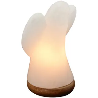 Himalaya Salt Dreams Salzkristall-Tischlampe Engel Weiß 1 St.