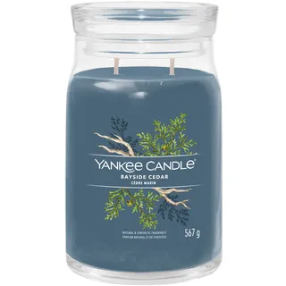 Yankee Candle Bayside Cedar Duftkerze 567 g blau
