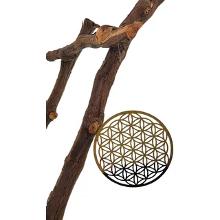 MC-Trend 1 Metall Blume des Lebens Aufhänger Yoga Meditation Suncatcher Chakra Deko Zuhause DIY basteln Traumfänger Spirituell (1 Stück)