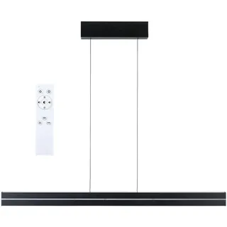 Paulmann Raiko 1-flg. 100 cm eckig schwarz