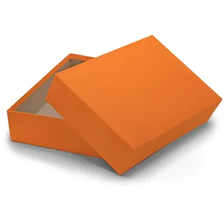 Geschenk- und Aufbewahrungsbox DIN A4 - Karton mit Deckel - 1 Stück - Farbe: Orange - 302 x 213 x 70 mm