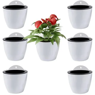 ShoppeWatch Selbstbewässernde Wand Blumentopf Hängend 7 Stück | Wandvasen für Pflanzen Blumen, Innen- und Außenbereich | Pflanzen Wand Mittelgroß, 12,7 cm PL34