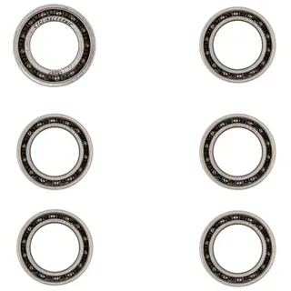 Cycling Ceramic Dt Swiss 6 Radlagersatz - Silver / Black - One Size