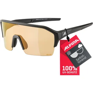 Alpina RAM HR Q-LITE V - q-lite varioflex silver mirror cat. 1-3 black matt