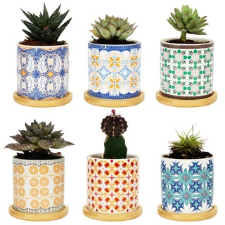 BELLE VOUS 6er-Pack Sukkulenten Topf aus Keramik - Sukkulenten Töpfe mit Bambusuntersetzer & Drainage Löcher - Mini Blumentöpfe für Kakteen - Indoor Sukkulenten Blumentopf Set