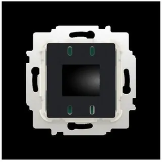 Busch-Jaeger 1094 USITA-BT Raumtemperaturregler Einsatz mit elektronischem Schließer