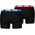 Boxershorts Organically Blue Red XL