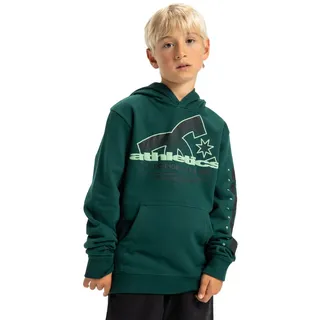 DC Shoes Hoodie DC SHOES "Slathletic", Kinder, Gr. 14(155-164cm), rosa (ponderosa pine), Obermaterial: 55% Walkfrottier, 25% Walkfrottier, 20% Microfaser;, Sweatshirts Hoodie