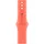 46mm Tangerine Sport Band - S/M