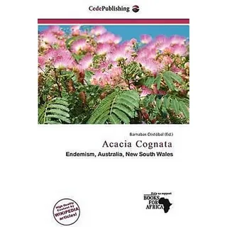 Acacia Cognata Zierpflanze mit blassgelben kugelförmigen Blütenköpfen, 3 bis 10 Meter hoch