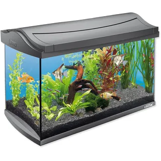 Tetra AquaArt LED Aquarium-Set, 60 l