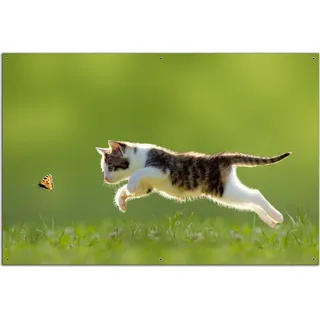 Wallario Outdoor-Poster für Garten oder Balkon, Motiv Süße Katze fängt Schmetterling im Grünen, in ca. 61 x 91,50 cm - Grün