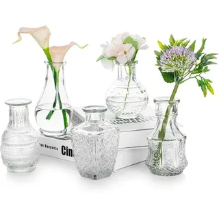 Glasseam Kleine Vase aus Glas: Vintage-Blumenvasen für Tafelaufsätze, Mini-Vasen, kristallklar, Set mit 5 niedlichen dekorativen Vasen für Blumen, Dekoration, Hochzeit, Tisch, Esszimmer, Dekorationen