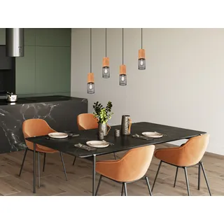 Trio Leuchten - Landhaus I Vintage Industrie I Vintage I Hängelampe I Pendellampe I Pendelleuchte schwarz mit Holz 4-flammig-Licht - Manon I Wohnzimmer I Schlafzimmer - Stahl Länglich - LED geeignet E - Hellbraun