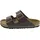 Arizona Birko-flor