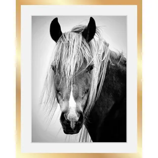 Queence »Pferdekopf« Gesicht Pferde Pferdebilder Schwarz-Weiß Tiere HD Premium Poster-Druck inkl. Holzrahmen in schwarz, schwarz,