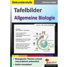 Tafelbilder Allgemeine Biologie