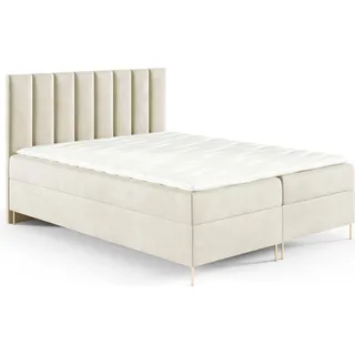 GUTTO Boxspringbett NADIA 120 x 200cm 2x Bettkasten TOPPER 5cm Gratis Grün Velour hohe goldene Beine - Beige
